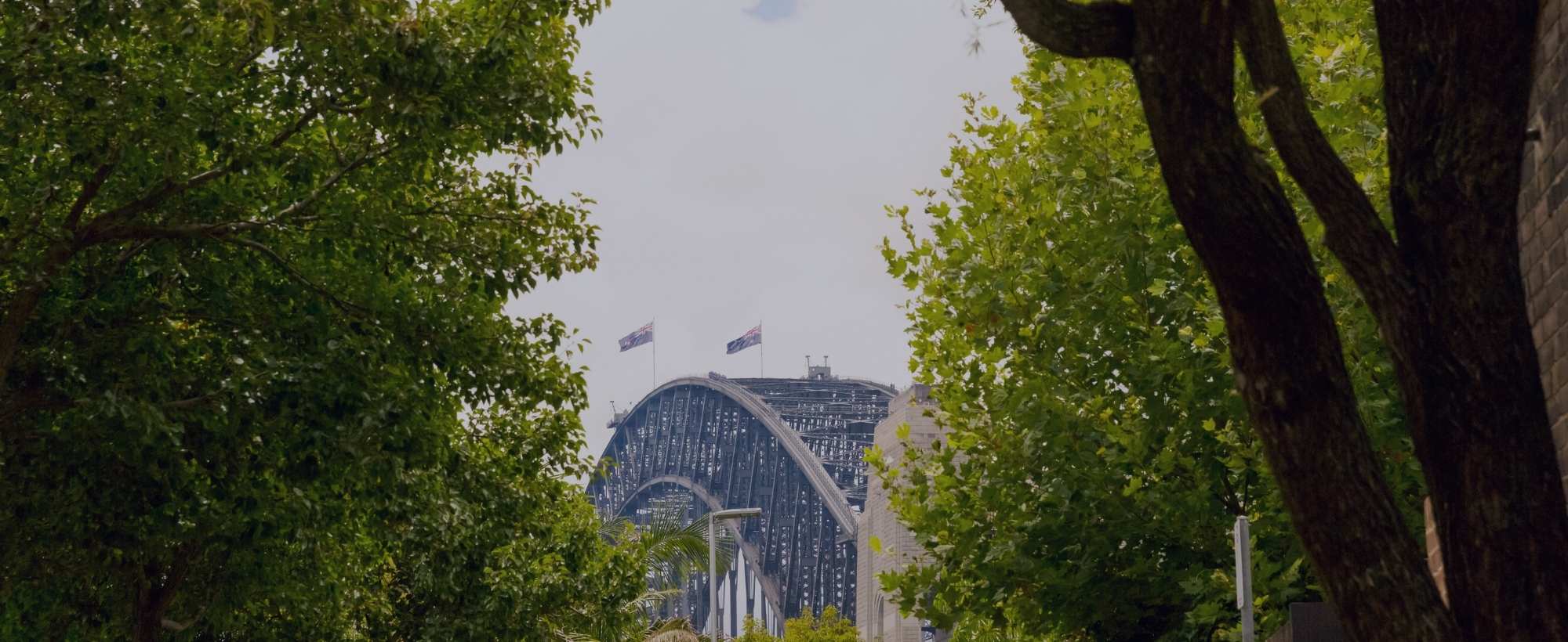 &nbsp;